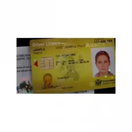 Buy Australian Drivers License