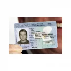 Buy Canadian Drivers License