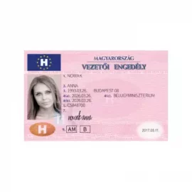 Hungarian Drivers License