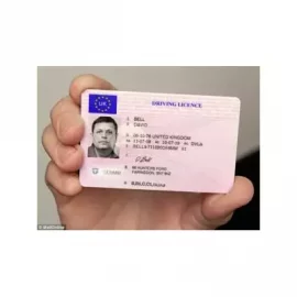 Icelandic Driver License